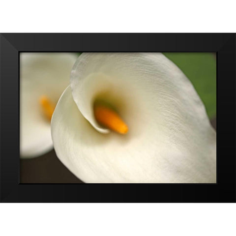 Calla Lilies VI Black Modern Wood Framed Art Print by Crane, Rita