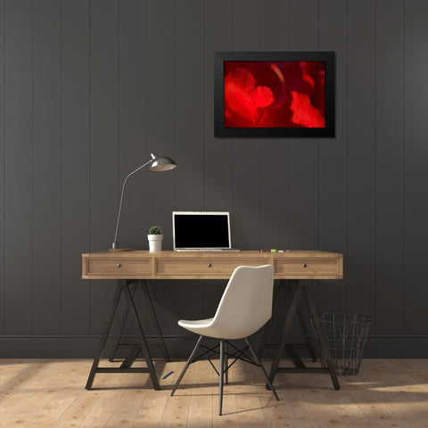 Crimson Petals I Black Modern Wood Framed Art Print by Crane, Rita