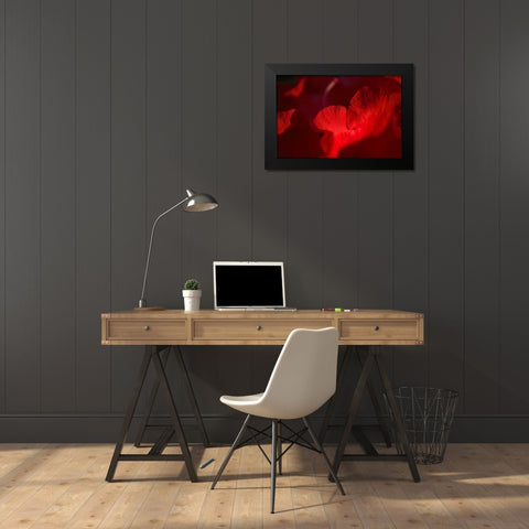 Crimson Petals II Black Modern Wood Framed Art Print by Crane, Rita