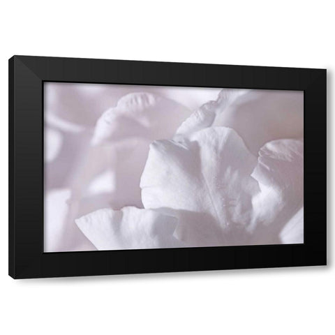 Rosy Petals II Black Modern Wood Framed Art Print by Crane, Rita