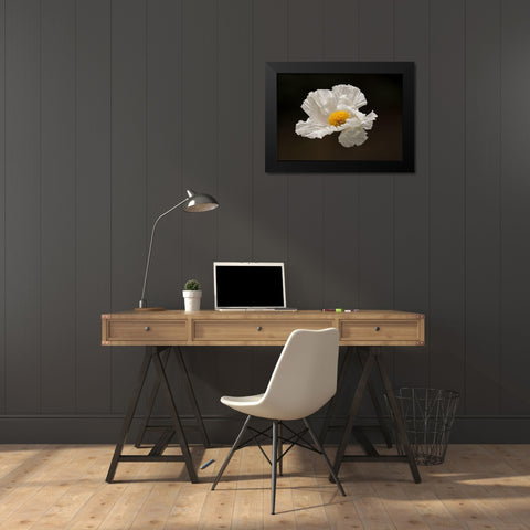 Floating Matilija I Black Modern Wood Framed Art Print by Crane, Rita