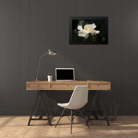 Matilija Poppy IV Black Modern Wood Framed Art Print by Crane, Rita