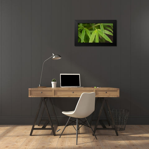 Bamboo Leaves I Black Modern Wood Framed Art Print by Crane, Rita