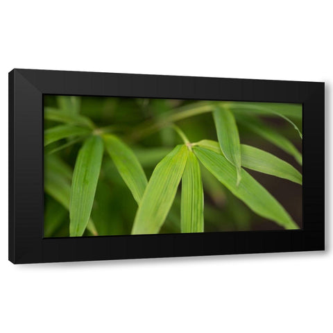 Bamboo Leaves I Black Modern Wood Framed Art Print by Crane, Rita