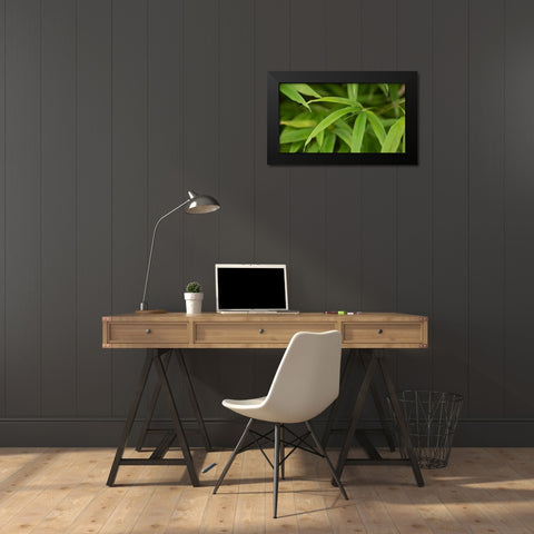Bamboo Leaves II Black Modern Wood Framed Art Print by Crane, Rita