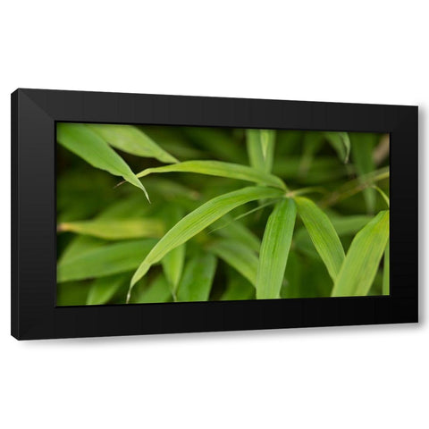 Bamboo Leaves II Black Modern Wood Framed Art Print by Crane, Rita