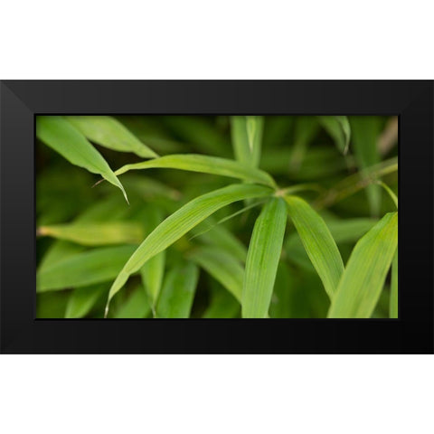 Bamboo Leaves II Black Modern Wood Framed Art Print by Crane, Rita