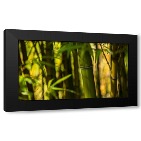 Bamboo Afternoon I Black Modern Wood Framed Art Print by Crane, Rita