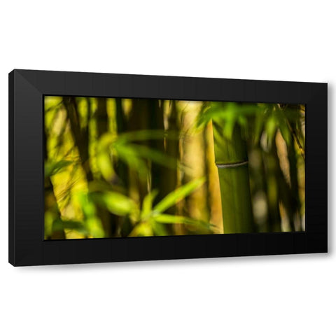 Bamboo Afternoon II Black Modern Wood Framed Art Print with Double Matting by Crane, Rita