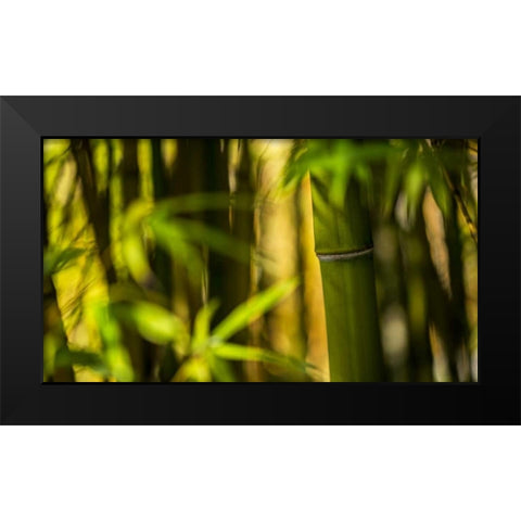 Bamboo Afternoon II Black Modern Wood Framed Art Print by Crane, Rita