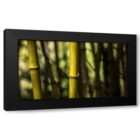Bamboo Afternoon III Black Modern Wood Framed Art Print by Crane, Rita