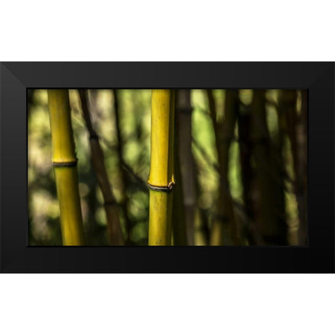 Bamboo Afternoon III Black Modern Wood Framed Art Print by Crane, Rita