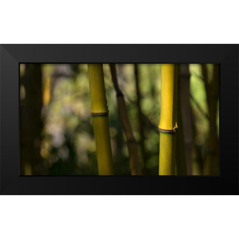 Bamboo Afternoon IV Black Modern Wood Framed Art Print by Crane, Rita