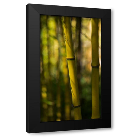 Bamboo Afternoon VII Black Modern Wood Framed Art Print with Double Matting by Crane, Rita