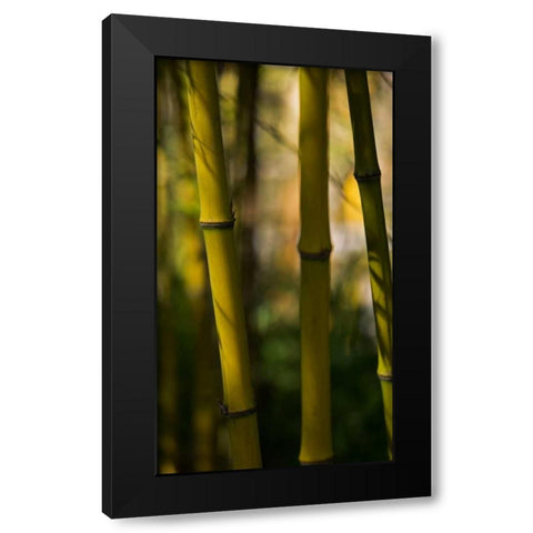 Bamboo Afternoon VIII Black Modern Wood Framed Art Print by Crane, Rita