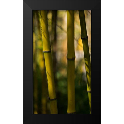 Bamboo Afternoon VIII Black Modern Wood Framed Art Print by Crane, Rita