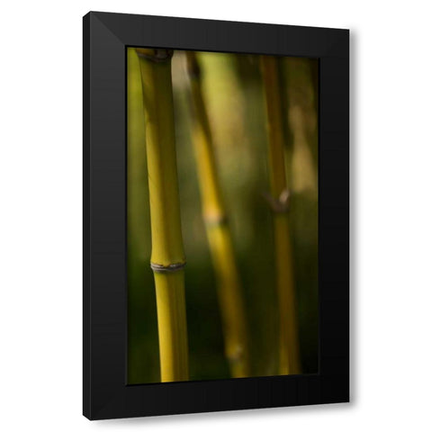 Bamboo Afternoon IX Black Modern Wood Framed Art Print by Crane, Rita