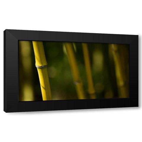 Bamboo Afternoon V Black Modern Wood Framed Art Print by Crane, Rita