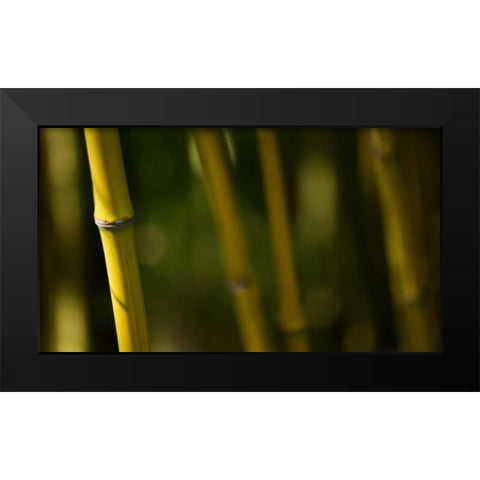 Bamboo Afternoon V Black Modern Wood Framed Art Print by Crane, Rita