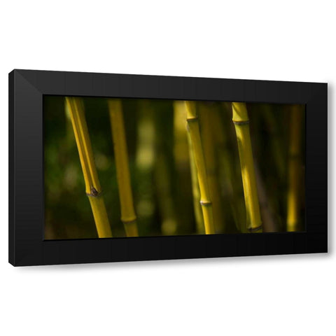 Bamboo Afternoon VI Black Modern Wood Framed Art Print by Crane, Rita