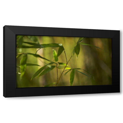 Bamboo Afternoon XI Black Modern Wood Framed Art Print with Double Matting by Crane, Rita
