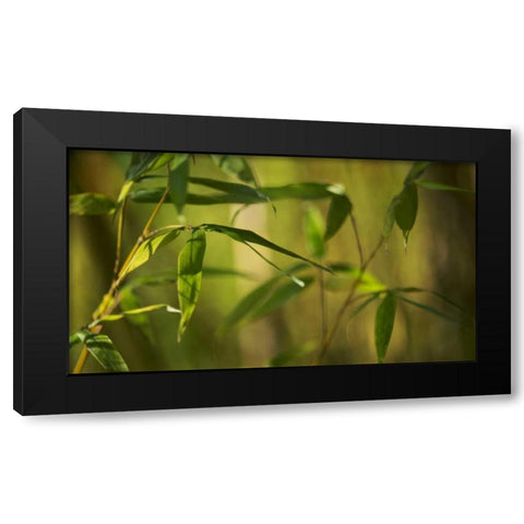 Bamboo Afternoon XII Black Modern Wood Framed Art Print with Double Matting by Crane, Rita