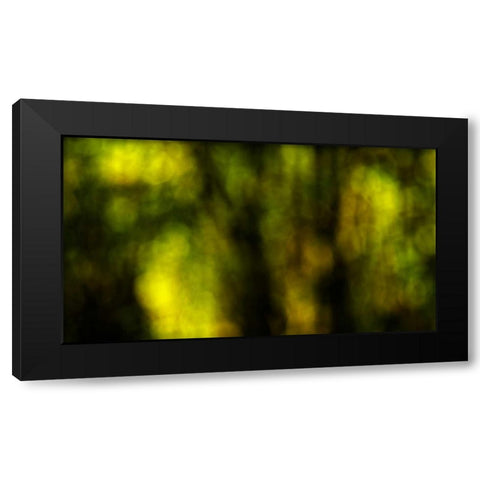 Dream Forest I Black Modern Wood Framed Art Print by Crane, Rita