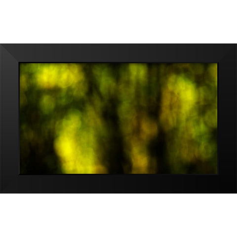 Dream Forest I Black Modern Wood Framed Art Print by Crane, Rita