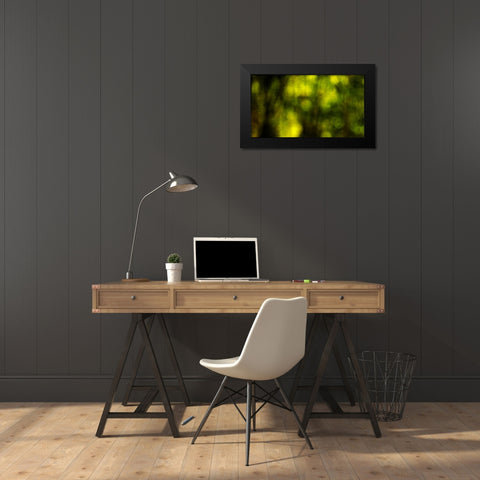 Dream Forest II Black Modern Wood Framed Art Print by Crane, Rita