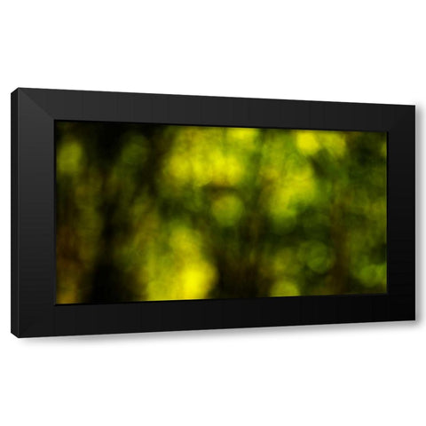 Dream Forest II Black Modern Wood Framed Art Print by Crane, Rita