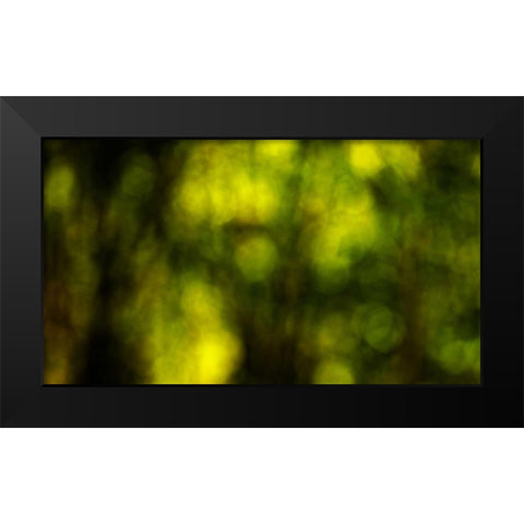Dream Forest II Black Modern Wood Framed Art Print by Crane, Rita