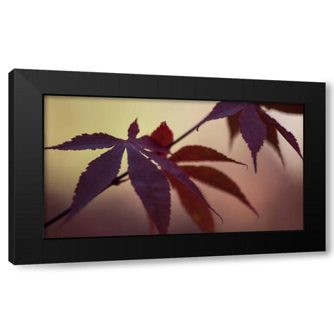 Burgundy Maple I Black Modern Wood Framed Art Print by Crane, Rita