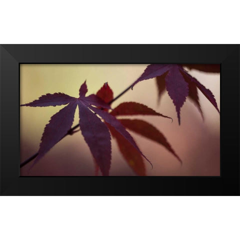 Burgundy Maple I Black Modern Wood Framed Art Print by Crane, Rita