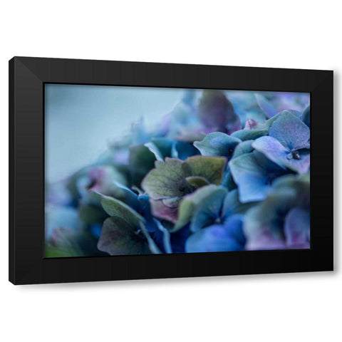 Autumn Hydrangea IV Black Modern Wood Framed Art Print by Crane, Rita