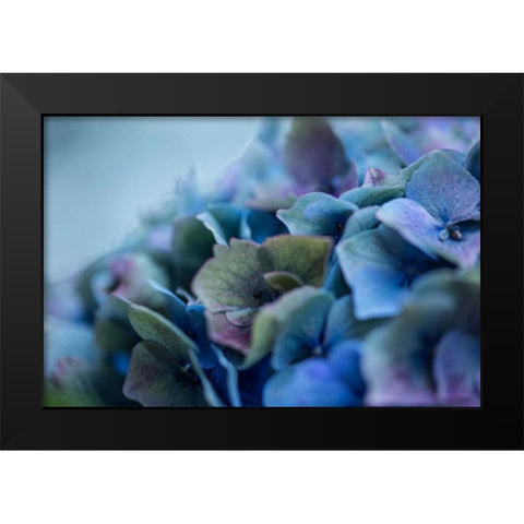 Autumn Hydrangea IV Black Modern Wood Framed Art Print by Crane, Rita