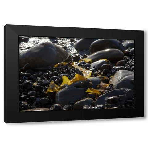 Rocky Shore I Black Modern Wood Framed Art Print by Crane, Rita