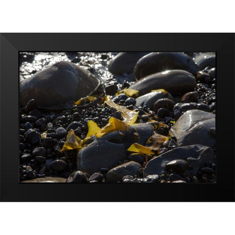 Rocky Shore I Black Modern Wood Framed Art Print by Crane, Rita