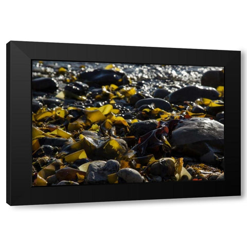Rocky Shore II Black Modern Wood Framed Art Print with Double Matting by Crane, Rita