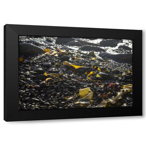 Rocky Shore III Black Modern Wood Framed Art Print with Double Matting by Crane, Rita