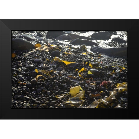 Rocky Shore III Black Modern Wood Framed Art Print by Crane, Rita