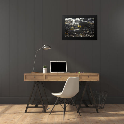 Rocky Shore IV Black Modern Wood Framed Art Print by Crane, Rita