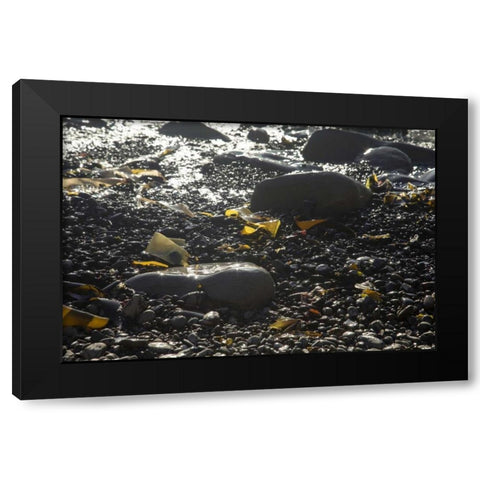 Rocky Shore IV Black Modern Wood Framed Art Print by Crane, Rita