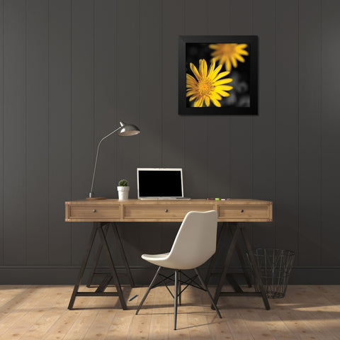 Celebration III Black Modern Wood Framed Art Print by Crane, Rita