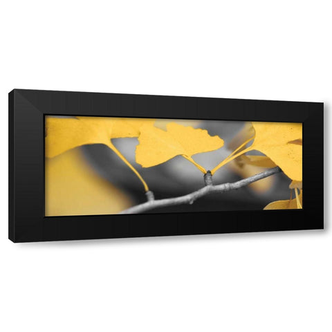 Yellow Gingko I Black Modern Wood Framed Art Print with Double Matting by Crane, Rita