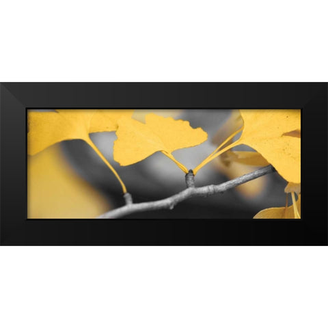 Yellow Gingko I Black Modern Wood Framed Art Print by Crane, Rita