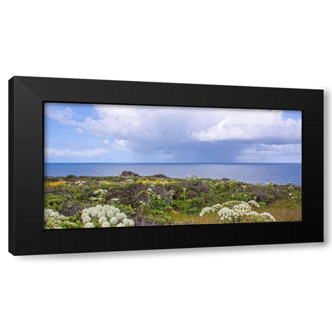 Coastal Wildflowers I Black Modern Wood Framed Art Print by Crane, Rita