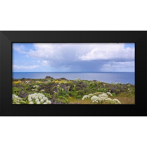 Coastal Wildflowers I Black Modern Wood Framed Art Print by Crane, Rita