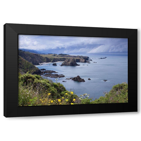 Spring Morning I Black Modern Wood Framed Art Print by Crane, Rita