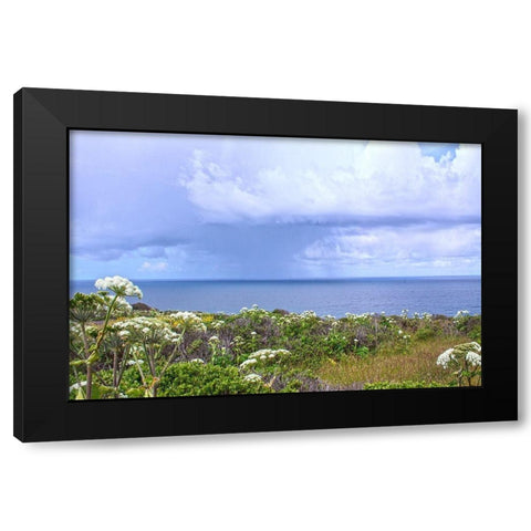 Spring Morning II Black Modern Wood Framed Art Print with Double Matting by Crane, Rita