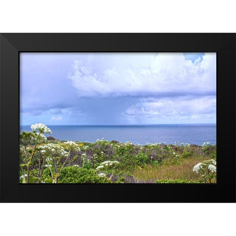 Spring Morning II Black Modern Wood Framed Art Print by Crane, Rita